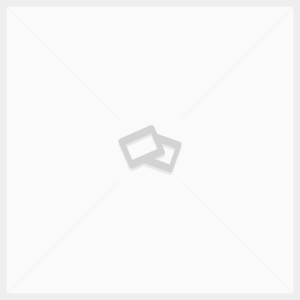 LCD display + dotyk Samsung N7105 LTE Note2 White
